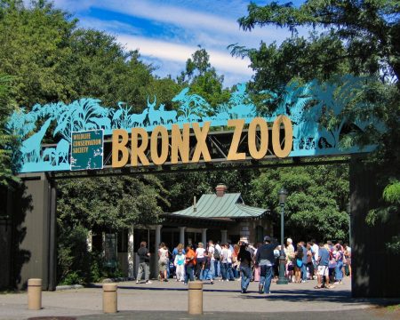 Bronx Zoo field trips